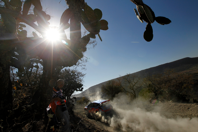 Illustration for article titled Oppo Rally Porn: The Best Photos From Rally Mexico